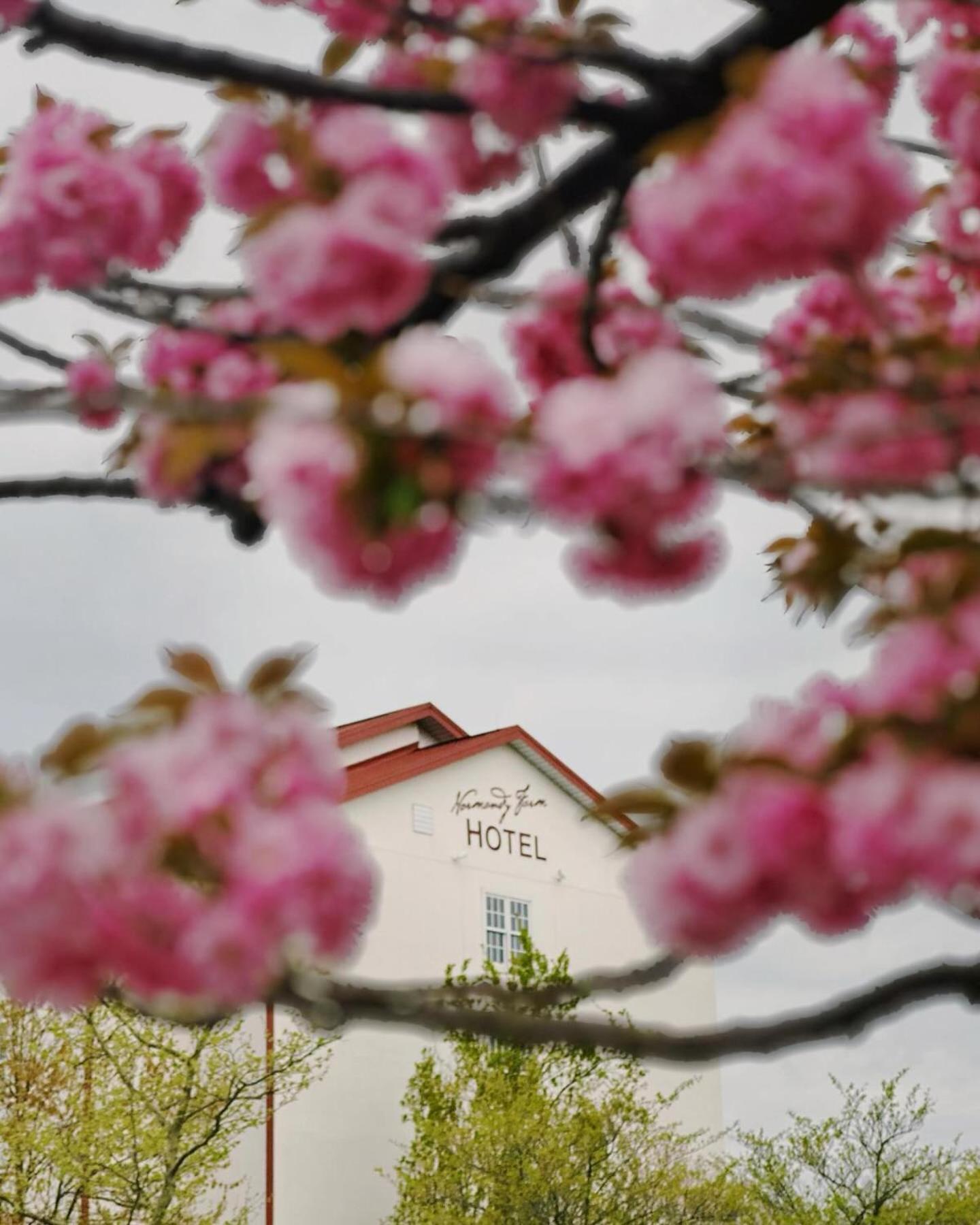 Normandy Farm Hotel & Conference Center Blue Bell Dış mekan fotoğraf